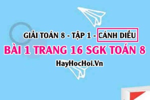 Giải bài 1 trang 16 Toán 8 Tập 1 SGK Cánh Diều